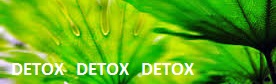 Detox, Detox, Detox - Green Foliage
